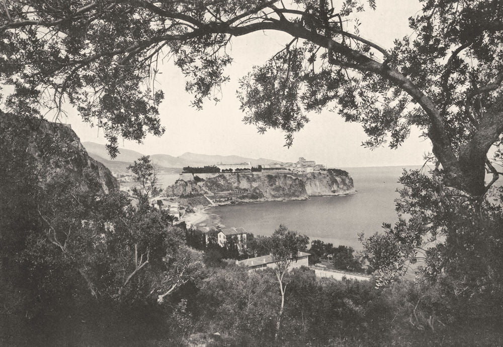 MONACO. Le Rocher de Monaco Vu Entre les Oliviers 1900 old antique print